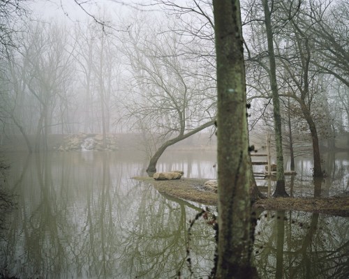 "St. Francis of Assisi," another of her exhibited photos at the City Gallery