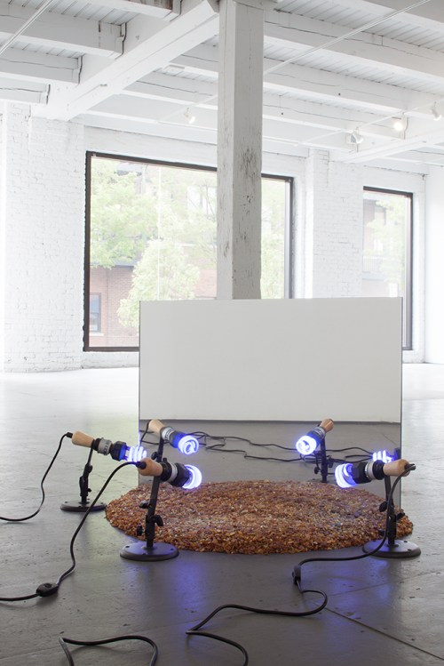Installation view, A Record of Disillusion, 2014 by Regina Mamou